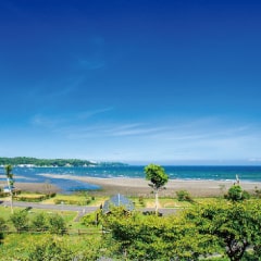 写真：糸ヶ浜海浜公園